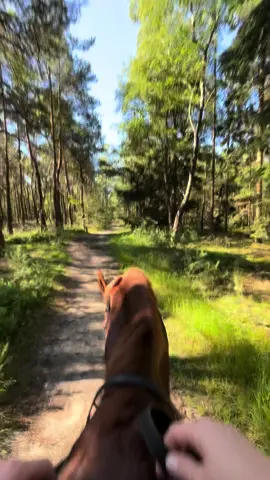 Making memories ❤️ Our first time riding at the #holterberg. It was a beautiful sunday morning ride and I can not be prouder of Hennie.  #horse #fyp #horsesoftiktok #holterberg #sundaymorning #horsetrail #forrest 