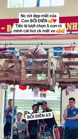 23 /6 giao luu truòng chim vũ gia 72 lồng  may mắn và có hơi tiếc nuối hạ con thứ 5 🥰🥰🥰. BỔI ĐIÊN 63
