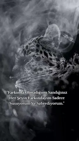 @🖤 𝙎İ𝙔𝘼𝙃 𝘽𝘼𝙍𝙊𝙉 🖤  #siyahbaron 