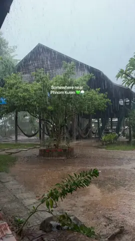 I absolutely love the serenity of the Cambodian countryside 💚🌧️ Rainy season brings everything back life 🍃 #cambodia #traveltiktok #rain 