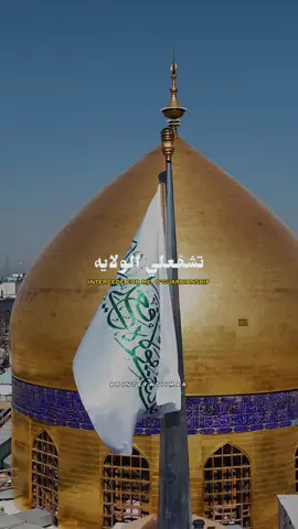 i found no one like you in the pages of history, O’Ali (as)💚 #ghadeer #ghadeervibes #18zilhajj #imamali #najaf #fyp 