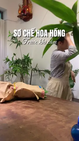 Hướng dẫn sơ chế hoa hồng. ___ #fyp #rose #flowers #huongdancamhoa #giohoa #quatang #flowershop #foryou #LearnOnTikTok #xuhuong #yeuhoa #gabrielflora 