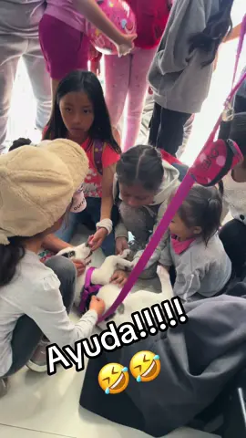 Ayudaaa 🤣🤣#ayuda #meme #parati #niños #perros #domingo #broma #paratii 