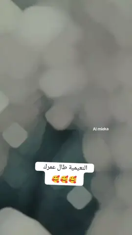 #سوي حركت اكسبلور #النعيمية #viral #tiktokindia 