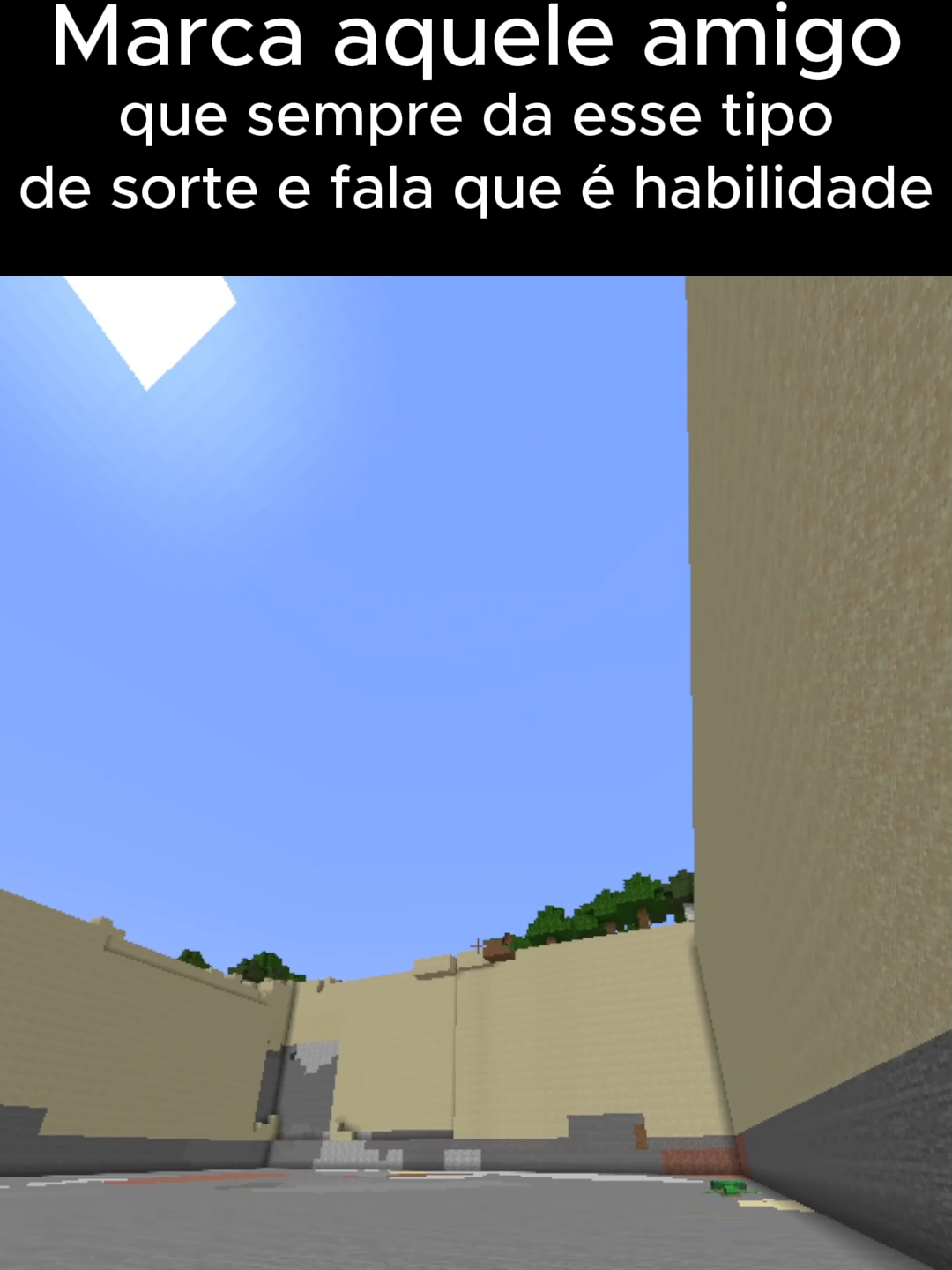 Marca aquele amigo que SEMPRE FINGE QUE NÃO FOI SORTE no minecraft #minecraftmemes