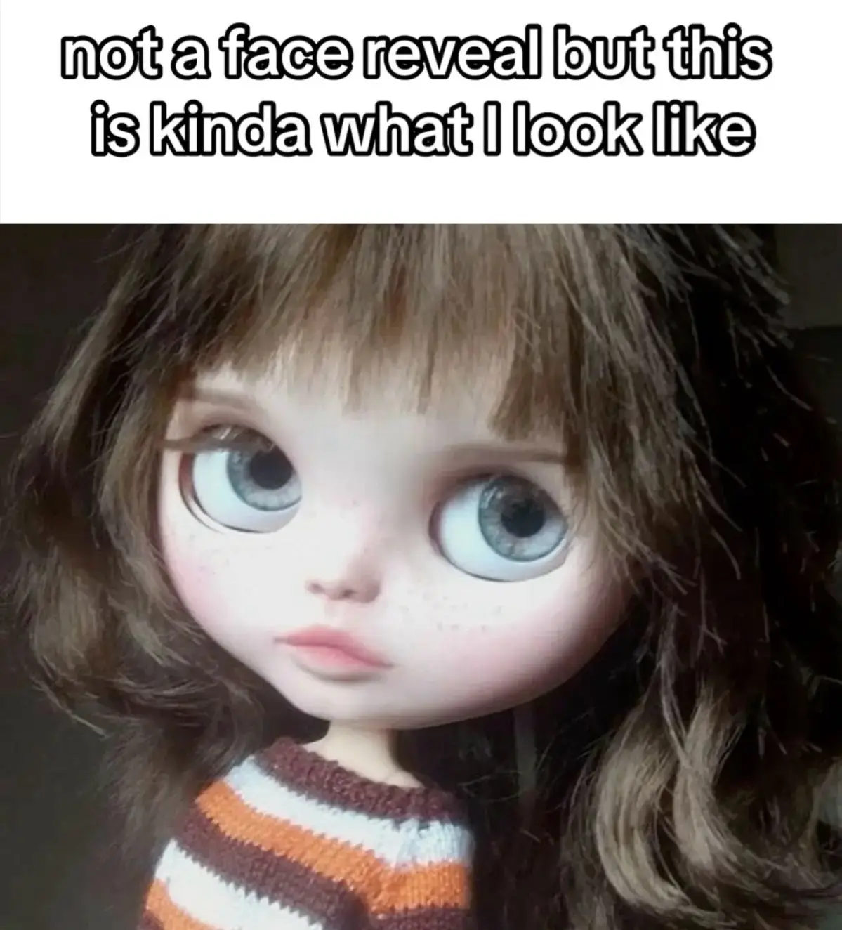 im actually this doll im just pertending to be human #blythedoll #fypage 