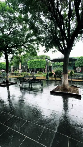 Lluviecita rica 🌧️🌧️🌧️🌧️🌧️❤️❤️❤️ #lluvia #paisaje #michoacan #plaza #agua #tiktok #fyp #viral 