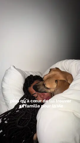 je vous tiens au courant pour son adoption et toute son évolution sur l’autre reseau qui commence par i : olietmonday ❤️