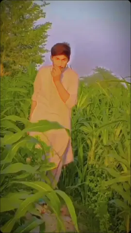 #CapCut #jang #zaindon907 #nicevideo #foryoupage #foryoupage 