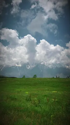 اگه دشت #پیچ_بن رفتید هیزم حتما با خودتون ببرید برای کمپ زدن چون اونجا خنک و اتیش روشن کردن میچسب. تو اونجا یه آقایی هست به اسم سروش، خیلی ادم با محبت مهربونی و تو کمپ زدن و .  .  .  کمک تون میکنه. از دشت پیچ بن به بعد جاده خاکی میشه می‌رسید به کاروانسرا . #طبیعتگردی #طبیعت #الموت_شرقی #ایران # قزوین #الموت #کمپ #دشت 