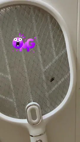 This bug threw itself into the net when I didn't open this mosquito killer. As soon as I opened it, I was immediately electrocured. When the spark came out later, I quickly ended it, otherwise it would smell. 🦟🔥#bugzapper #mosquitokiller #electricflyswatter #electricmosquitoracket #tiktokshop #killer #foryou #fypage #bugzapper #bugzapperracket j#mosquitossuck✌ #funnya #the #10k