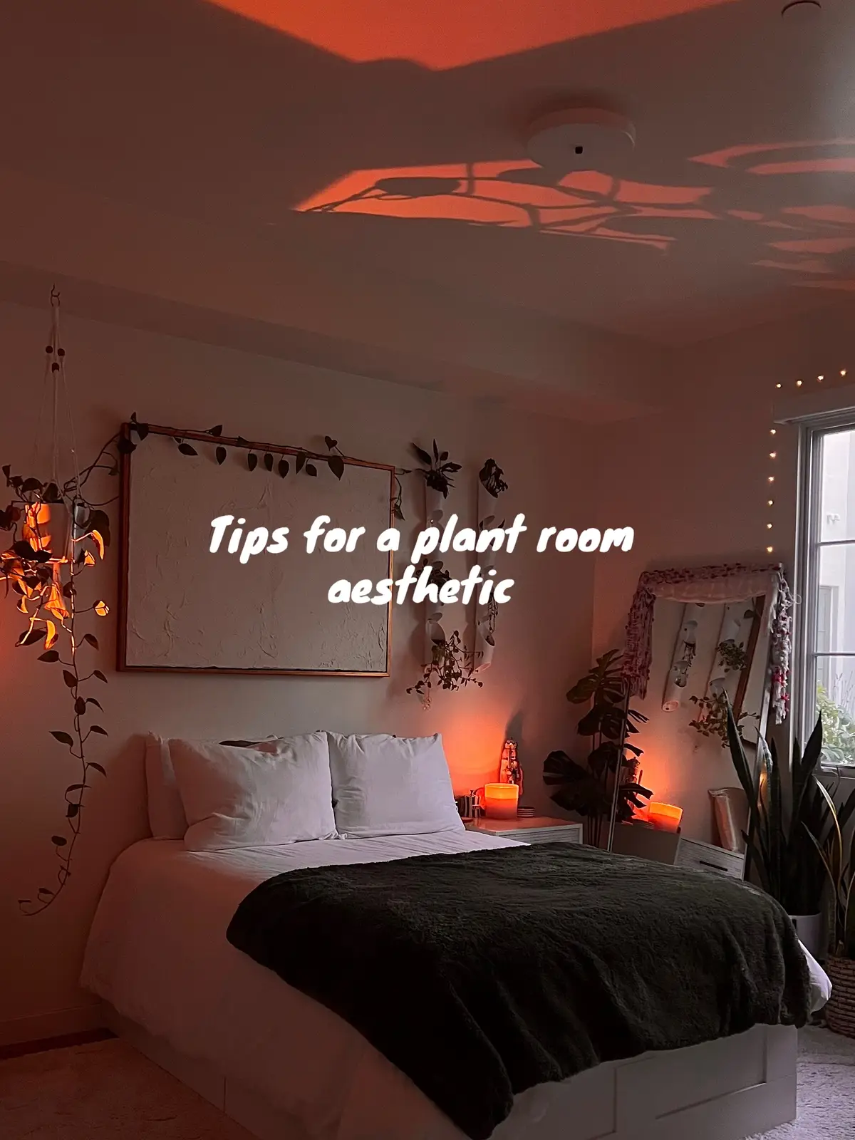 #plantroom #plantroomaesthetic #plantaesthetic #roomaesthetic #creatorsearchinsights  