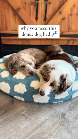 In LOVE with this! 😍🐾🐶 #dogmom #dogbed #donutdogbed #calming #sleep #lesurepet @Lesure Pet 