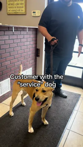 Inswear hes a servise dog #funny #dog #comedy #gas #servise 