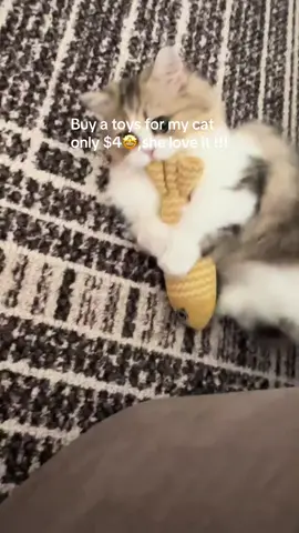 Buy here 👆👆#besttoyforcat 