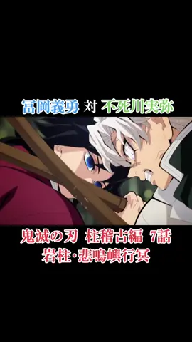 冨岡さん参戦。 #鬼滅の刃 #柱稽古編 #竈門炭治郎 #冨岡義勇 #不死川実弥 #kimetsunoyaiba #demonslayer #hashiratrainingarc #tanjirokamado #giyuutomioka #sanemishinazugawa 