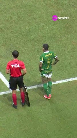 O DUDU VOLTOU E FOI OVACIONADO PELA TORCIDA DO PALMEIRAS! 🚨🥹 #Dudu #Palmeiras #TikTokEsportes #Brasileirão2024