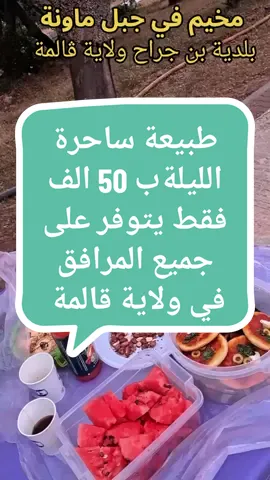 طبيعة خلابة في أعالي جبل ماونة بلدية بن جراح ولاية قالمة 1411متر#nasdas #nature #melaniemartinez #queenoftears #prom24 #esprespnteresta #marmariemmanuel #esprespnteresta 