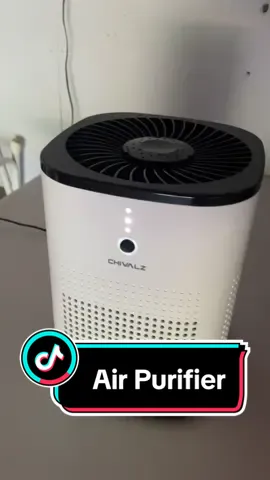 This is worth a pizza right now #tiktokshop #purifier #summer2024 #SummerDeals 
