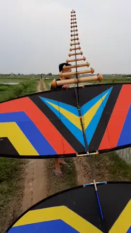 Thả diều 4m2 cùng sáo hoà còi d55 âm cực gắt#viral #xuhuong #xuhuongtiktok #saodieu ##dieusaovietnam #dieusao #bayang 