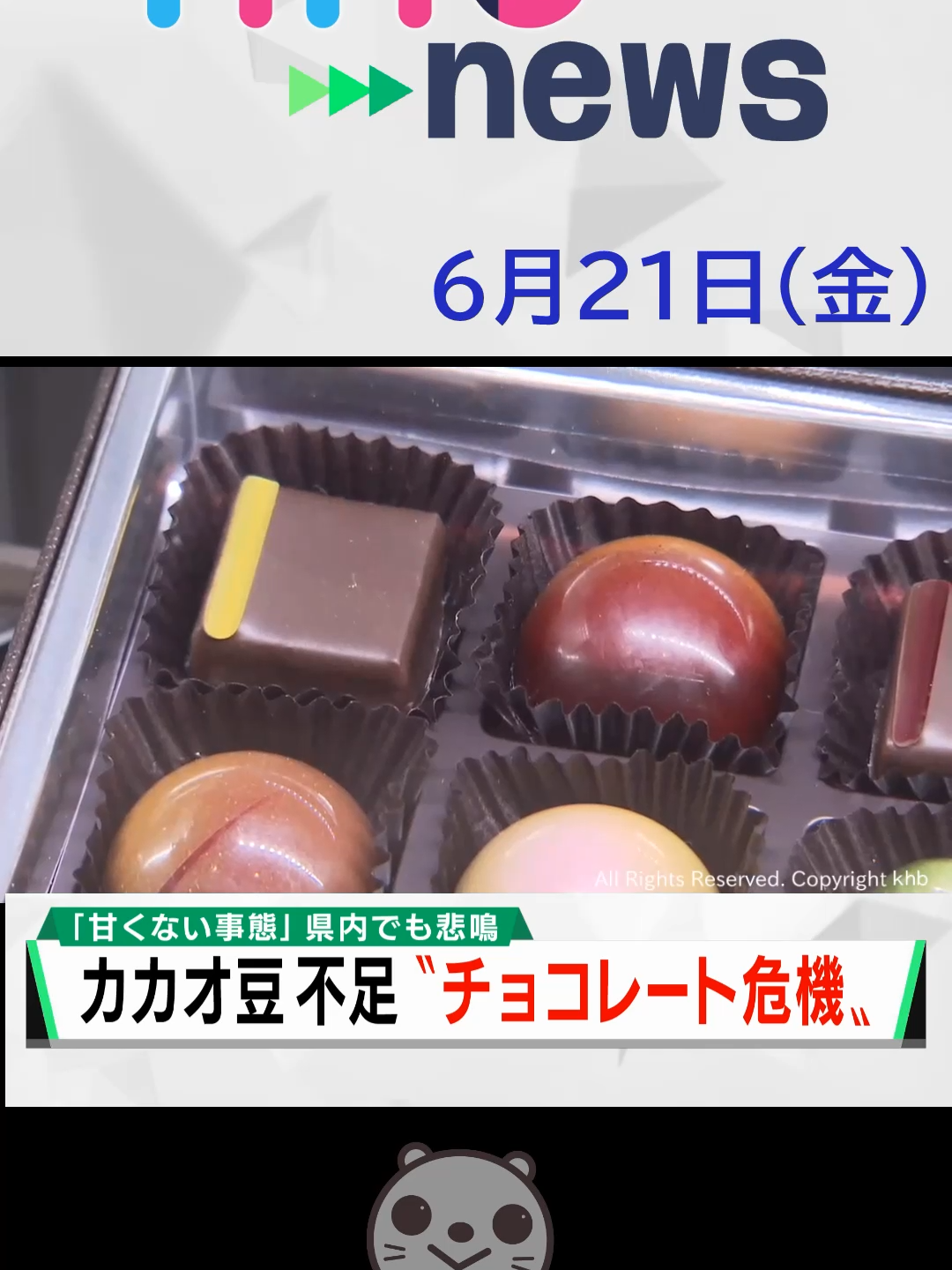 【khb】カカオ高騰「チョコレート危機」#チョコレート #カカオ豆 #値上がり#物価高 #khb #khbnews #宮城県