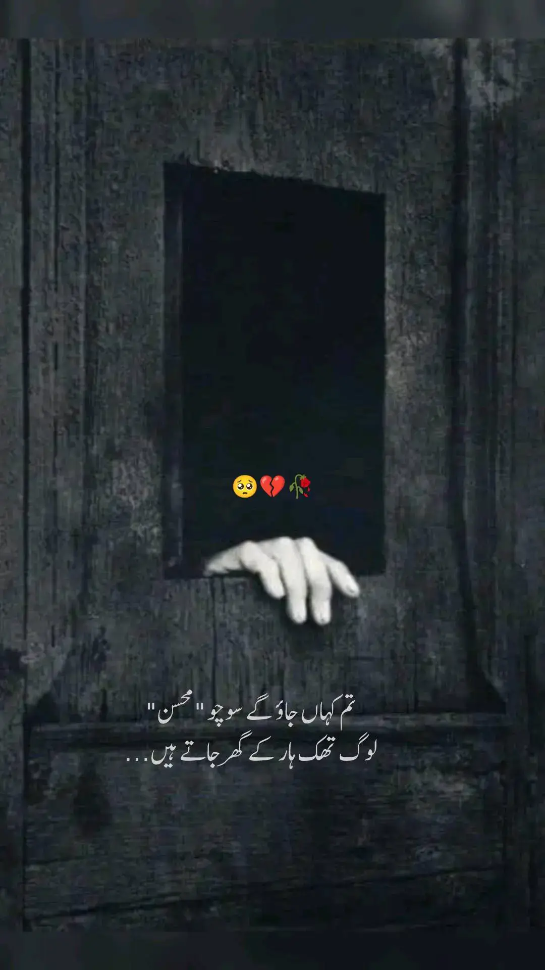 تم کہاں جاؤ گے سوچو 