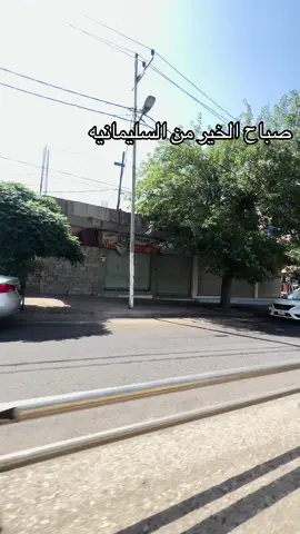 #صباح_الخير #السليمانية #تصميمي #العراق 