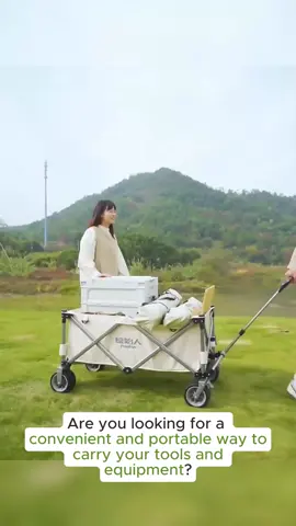 Wagon Camping Wagon Trolley Cart Folding Cart  Big Wheel Shopping Cart Outdoor Wagon with Storage