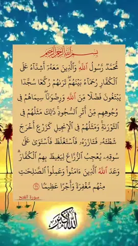#لا_اله_الا_الله_محمد_رسول_الله🎧🌿🤍 #fypシ゚viral🖤tiktok☆♡🦋myvideo #🕋📿🕌regay_islam🌼🦋🤲 #quran_alkarim #fypシ゚viral #لا_اله_الا_الله_محمد_رسول_الله☝🏻،💙،، 