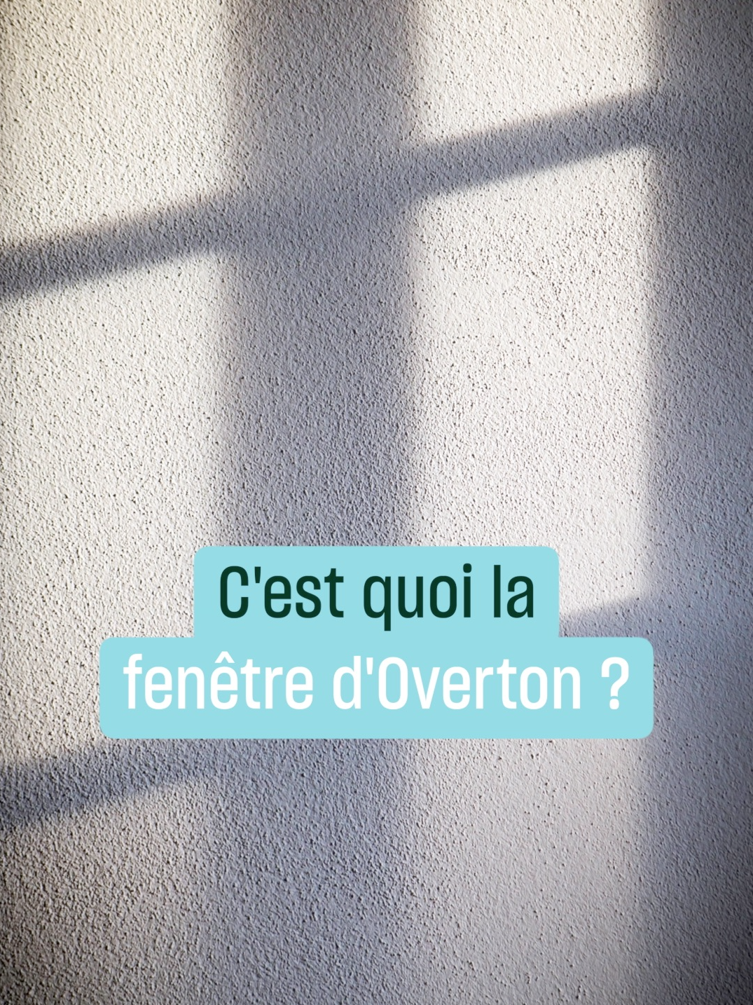 La fenêtre d’Overton, l’ouverture discrète par laquelle l’impensé devient pensable, puis possible. #sciencepolitique #compol #apprendresurtiktok #cultureprime