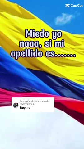 Respuesta a @reyinoglory_37  #reyino #capcut #viral  #seleccioncolombia #diomedes 