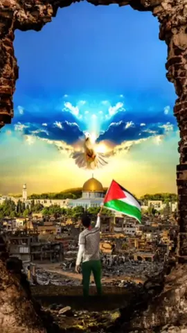#فلسطين🇵🇸 #المغرب🇲🇦تونس🇹🇳الجزائر🇩🇿 #العرب