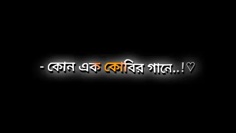 আর মায়া বাড়ানো যাবে না 😊🖤 #nahidyt91 #foryou #foryoupage #trending #videos #fyp #growmyaccount #tiktok #lyricsvideo #support #official @TikTok Bangladesh 