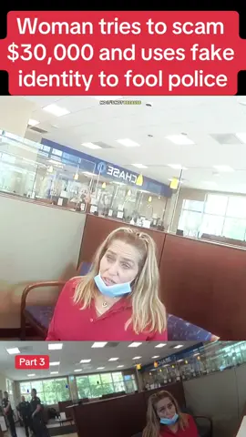 Woman tries to scam $30,000 and uses fake identity to fool police