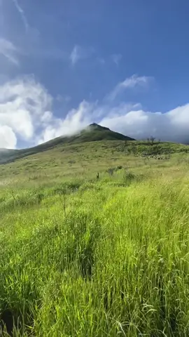 Via cuntel waktu merbabuskyrace lalu #merbabu #merbabviacuntel #merbabuskyrace 