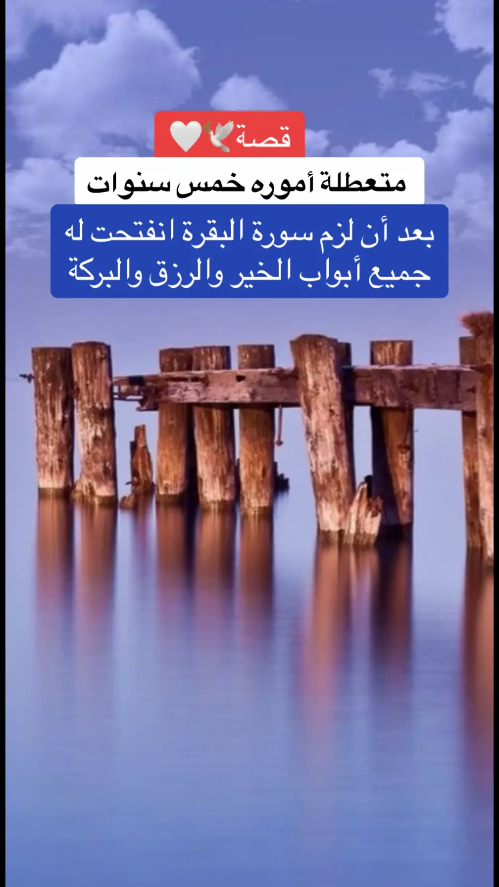 ‏⁧‫#أخذها_بركة‬⁩  ‏⁧‫#قصص_سورة_البقره‬⁩  ‏⁧‫#عجائب_سورة_البقرة‬⁩ ‏⁧‫#قصص_تاج_الذكر‬⁩ ‏⁧‫#قصص_الاستغفار‬⁩ ‏⁧‫#قصص_الحوقلة‬⁩ ‏⁧‫#قصص_الصلاة_الابراهمية‬⁩ ‏⁧‫#قصص_سورةالبقرة‬⁩ ‏⁧‫#قصص_الدعاء‬⁩ ‏⁧‫#صلاة_الوتر‬⁩