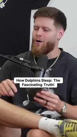 How Dolphins Sleep: The Fascinating Truth! Episode 118 #youshouldknow #dolphins #randomfacts #fypp #podcasts  #podcastclips