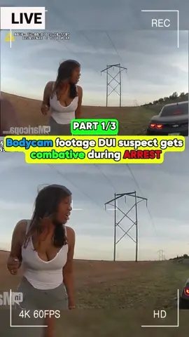 #fyp #viral #cops #copsoftiktok #police #policeofficer 
