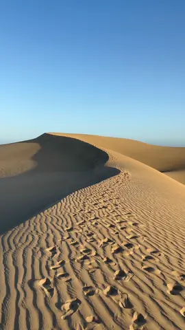 Las Palmas de Gran Canaria - Dunas de Maspalomas 🏖️ #dunasmaspalomas #grancanaria #maspalomas #canarias #canaryislands #islascanarias #maspalomasdunes #dunas #playadelingles #maspalomasbeach #fyp #fy 