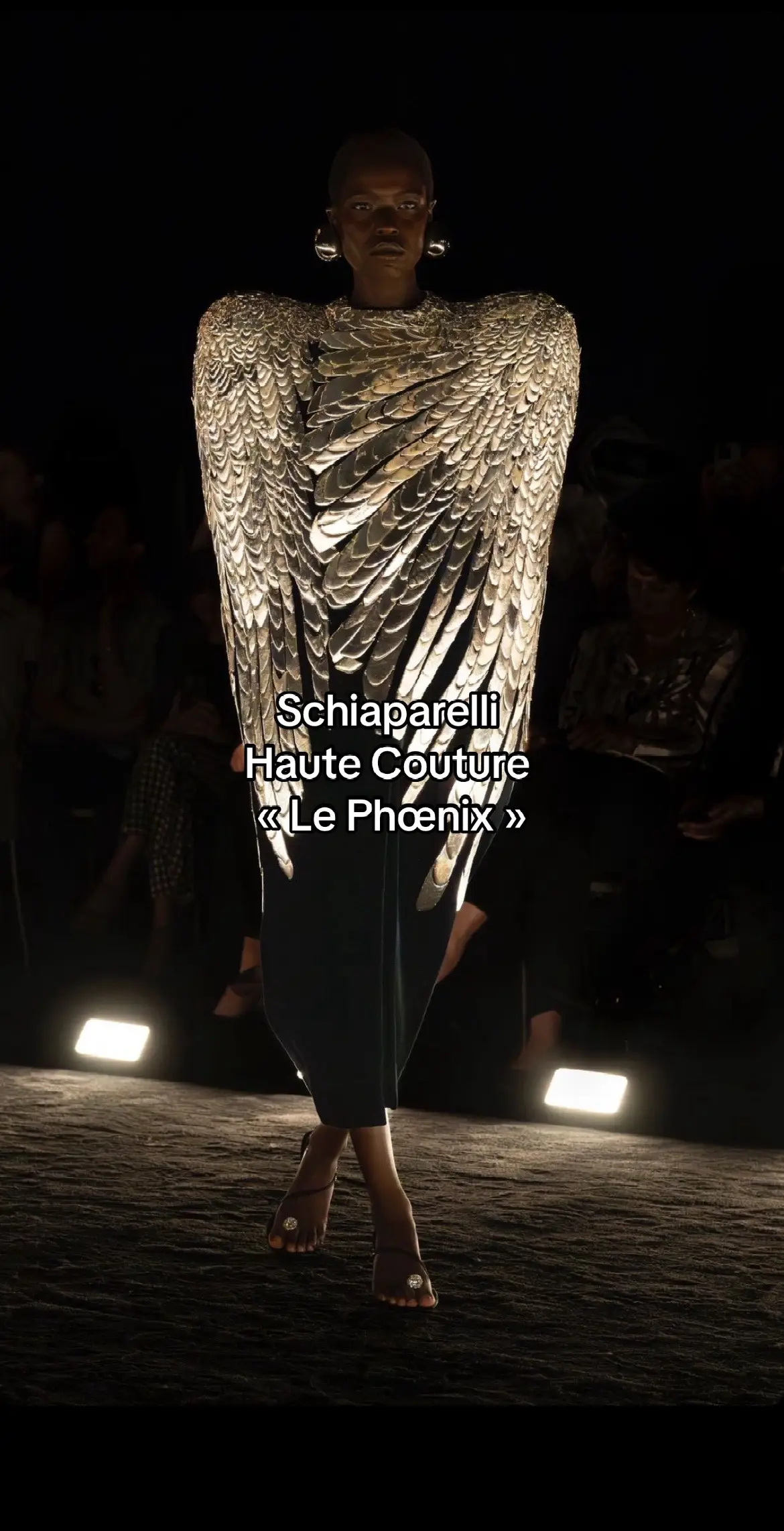 #fashiontiktok #iconicfashion #schiaparelli #danielroseberry #hautecoutureweek #hautecouture 