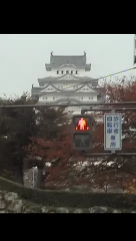 japan 2023 on tape🏯 #tokyo #japan #aesthetic #fyp #cinematok #vhs #vhsedits #日本 #urbanphotography #vintagevibes #videography #viral #camcorder #sonycamcorder #travel #luxembourg #nightlife 