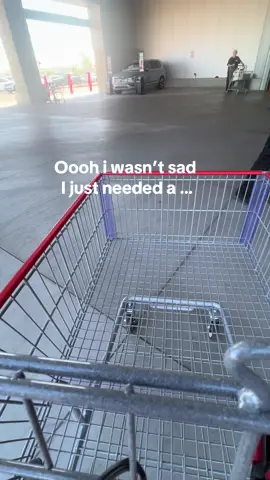 Costco always brightens my day!!!! What do you love most about costco?  #costco #costconewitem #costcobuys #costcotiktok #costcohaul #costcomusthaves #costcodeals 