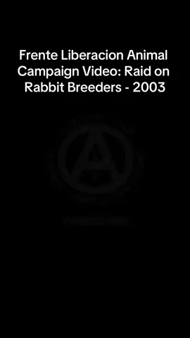 Frente Liberacion Animal Campaign Video: Raid on Rabbit Breeders - 2003 Propaganda video demonstrating a raid by the Dave Blenkinsop Commando of the Spanish Animal Liberation Front on a rabbit breeders in Tuledras on the 21st  November #fyp #fy #fypシ #animal #liberation #front #vegan #animalliberation #animallibrrationfront #alf #tier 