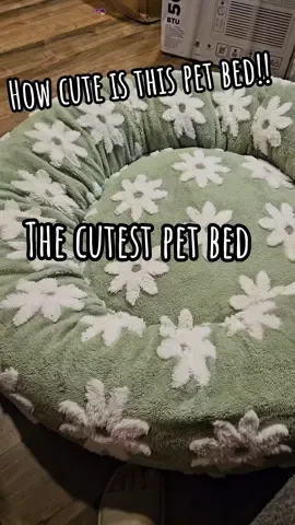 How cute is this!!!  This is the large size!!  I was worried it wasn't going to be big enough and now you'll catch me laying in it watching TV 😂😂😂 Let me know if I need my dog models for size reference!!  #petbed #petbeds #dogbed #catbed #soft #comfy  #creatorsearchinsights 