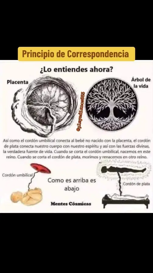 Así como el cordón umbilical conecta al bebé no nacido con la placenta, el cordón de plata conecta nuestro cuerpo con nuestro espíritu y así con las fuerzas divinas, la verdadera fuente de vida. Cuando se corta el cordón umbilical, nacemos en este reino. Cuando se corta el cordón de plata, morimos y renacemos en otro reino. #kybalion #leydecorrespondencia #principiodecorrespondencia #asabovesobelow #foryou