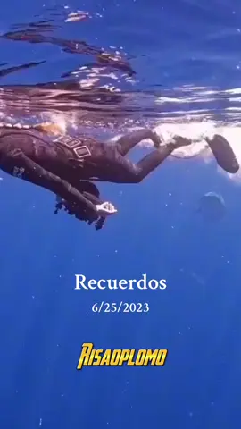 #Recuerdos #noticias  #tiburones #datos 