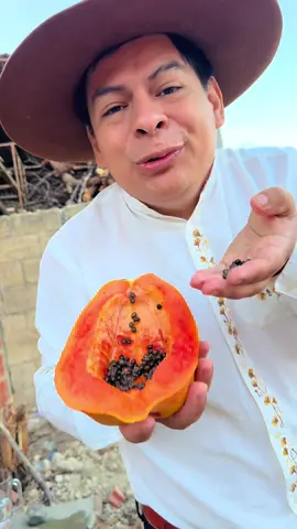 La semilla de papaya que te puede Salvar la Vida, la receta de la vida Eterna