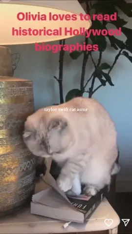 i do realize i’ve created a very niche account but i think i know my audience #taylorswift #swifttok #asmrsounds #asmr #catsoftiktok #fyp #ttpd 