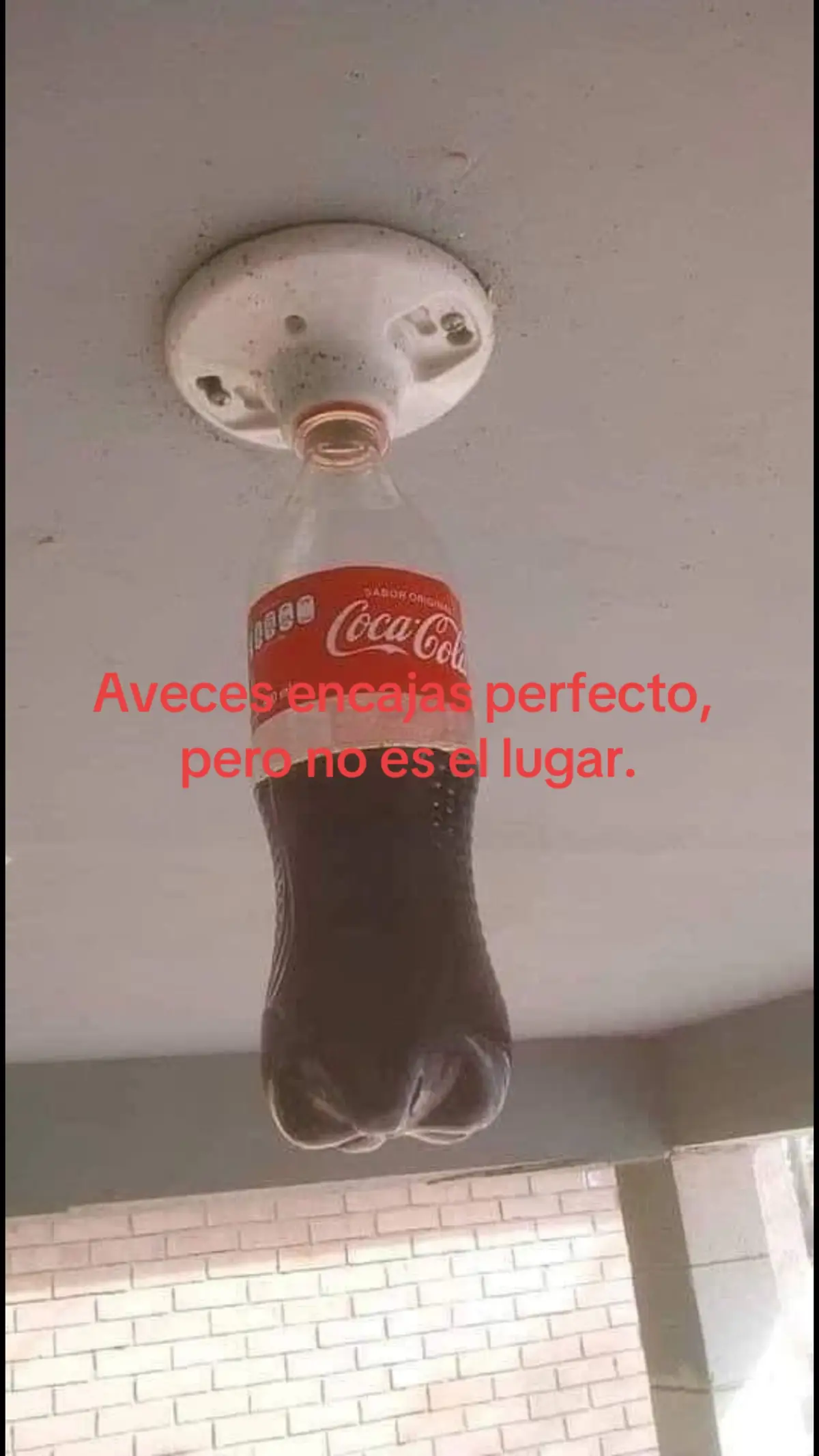 #fypシ゚ #fyp #paratiiiiiiiiiiiiiiiiiiiiiiiiiiiiiii #fypage #cocacola #Viral #xybca #foryoupage 