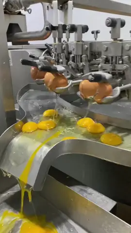 Oddly Satisfying Egg Factory 🥚 #egg #eggs #eggfactory #factory #oddlysatisfying #satisfying #fyp 